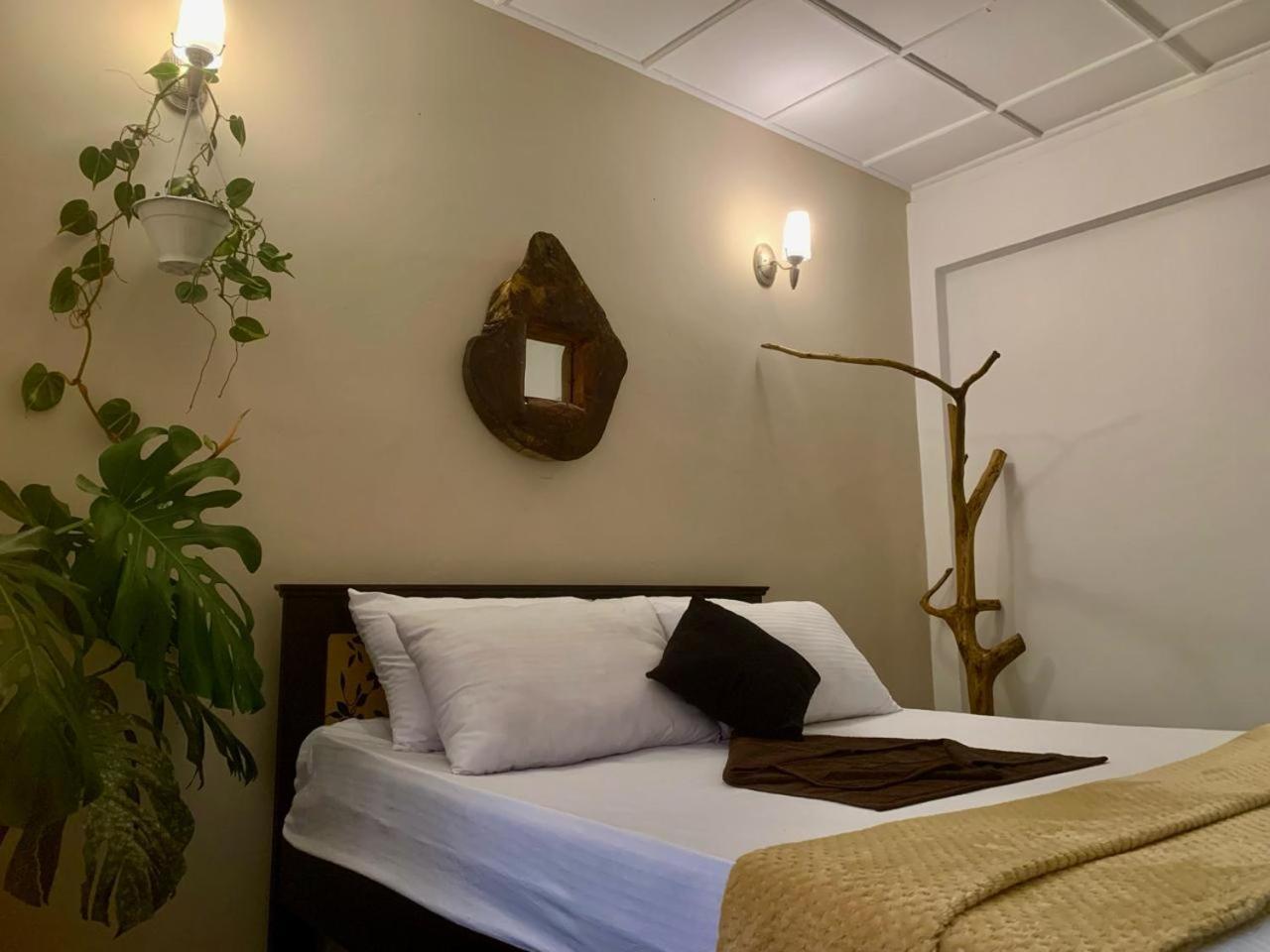 Ella Gypsies Hostel Dış mekan fotoğraf